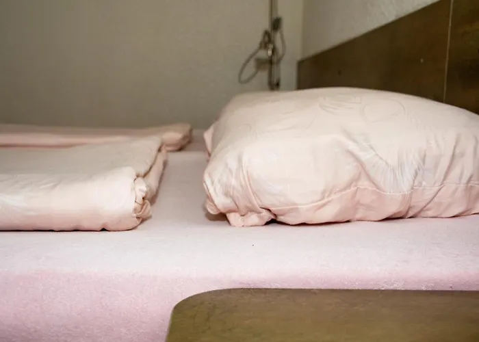 зорница 반스코