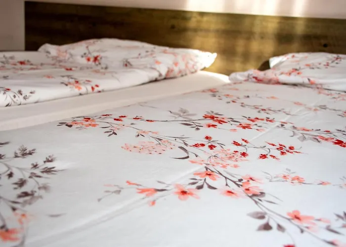 зорница 게스트하우스