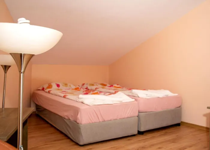 게스트하우스 зорница 반스코