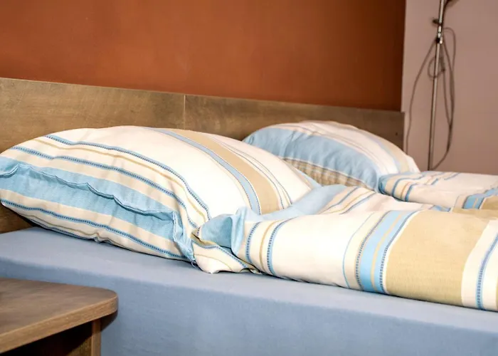 зорница 반스코